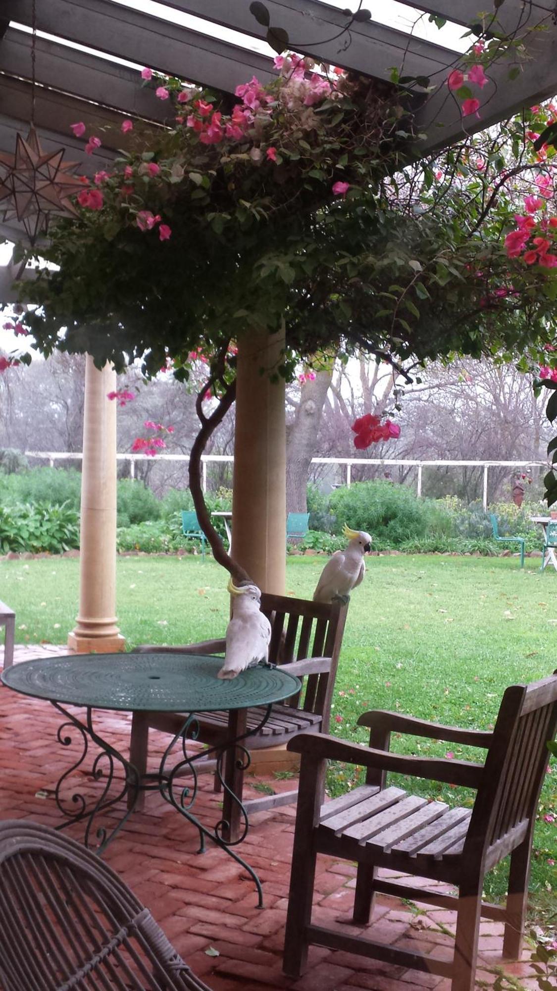 AL RU Farm Bed & Breakfast One Tree Hill Exterior foto
